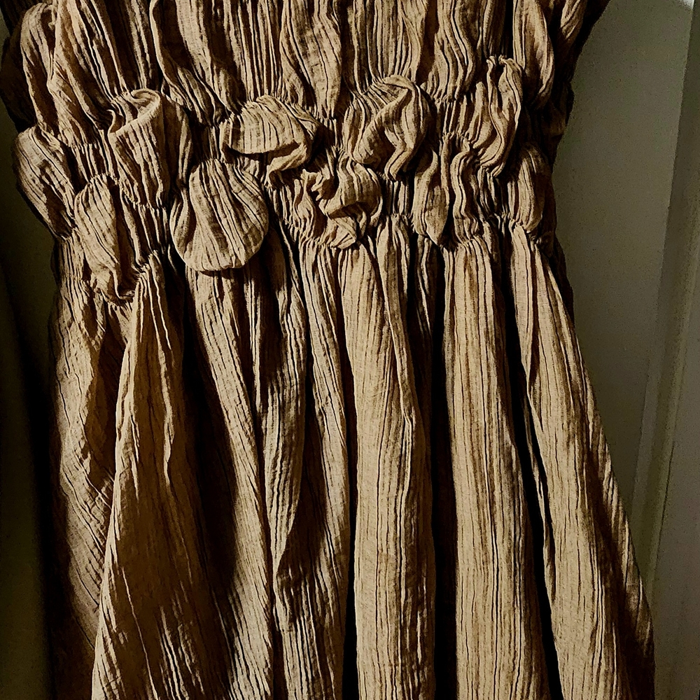 Forever 21 Brown Mini Dress